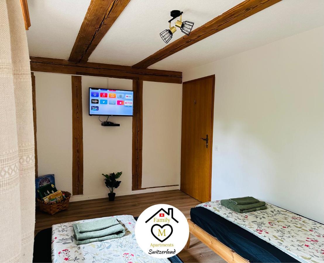 Family M Apartments 15 Kappel bei Olten Екстер'єр фото