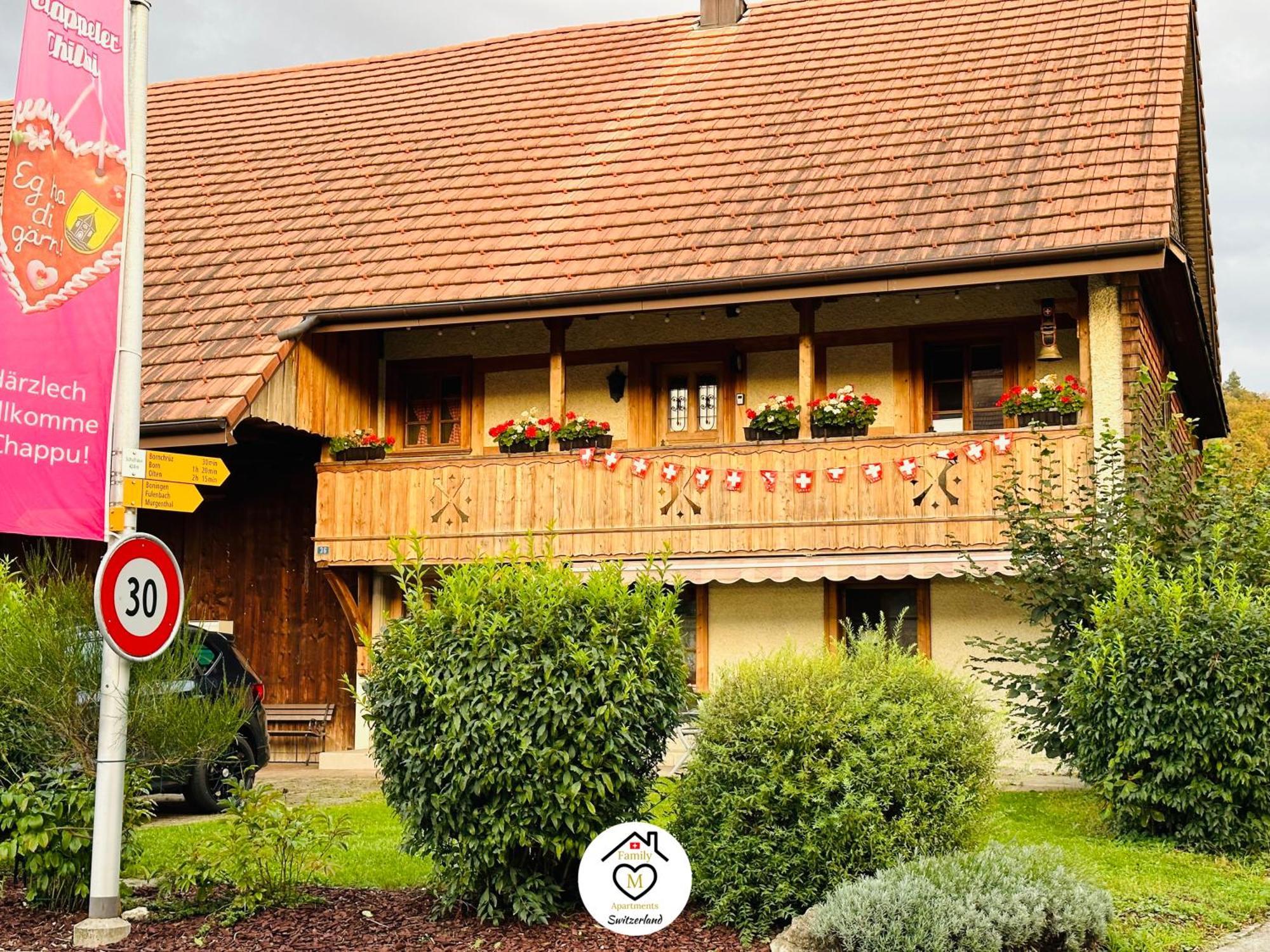 Family M Apartments 15 Kappel bei Olten Екстер'єр фото